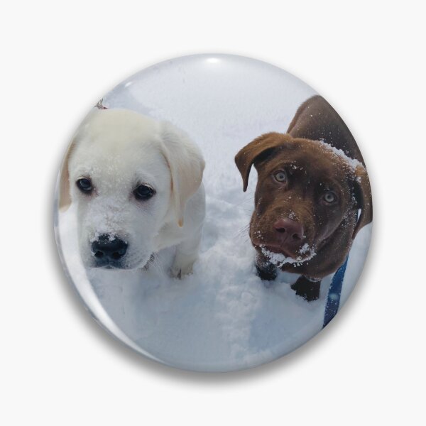 Item preview, Chocolate and Cream Lab Puppies In the Snow designed and sold by emscaroline.