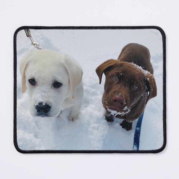 Item preview, Chocolate and Cream Lab Puppies In the Snow designed and sold by emscaroline.