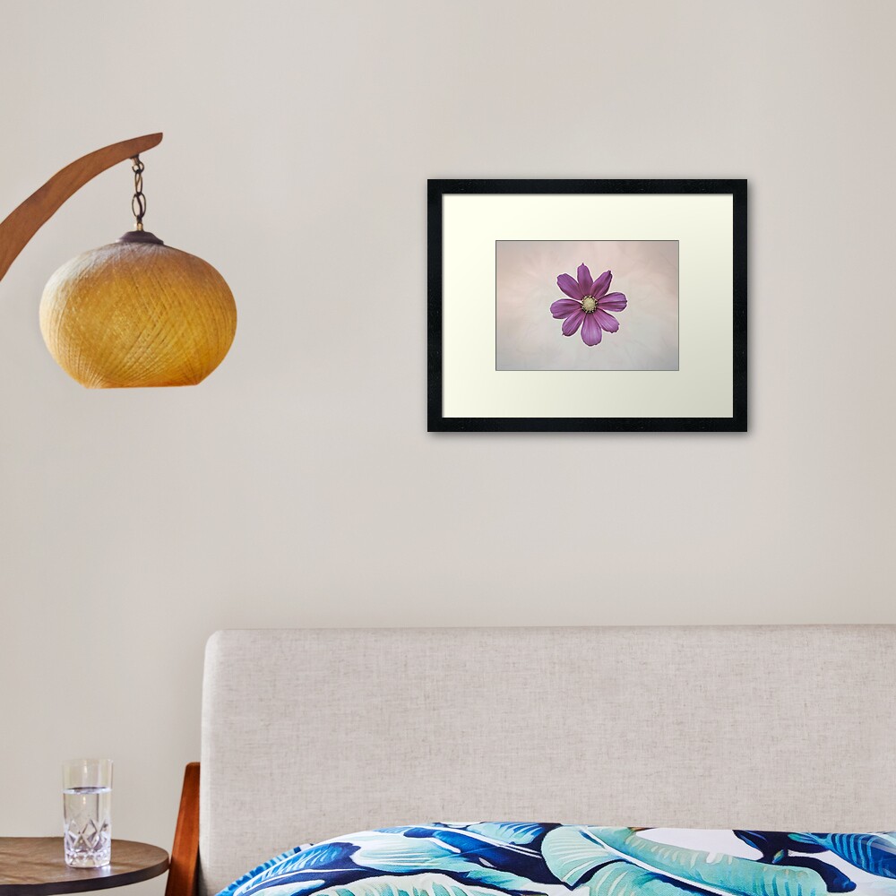 Purple Cosmos Flower Framed Art Print