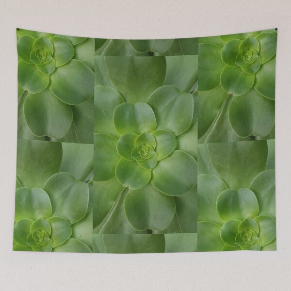 Item preview, Succulent  designed and sold by EmmaLilStudio.