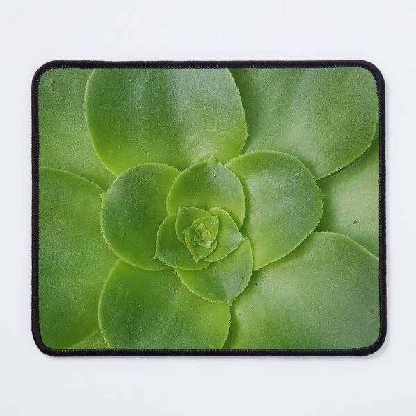 Item preview, Succulent  designed and sold by EmmaLilStudio.