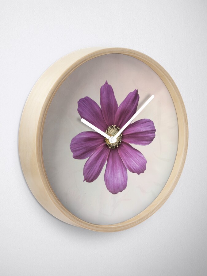 Alternate view of Purple Cosmos Flower Clock