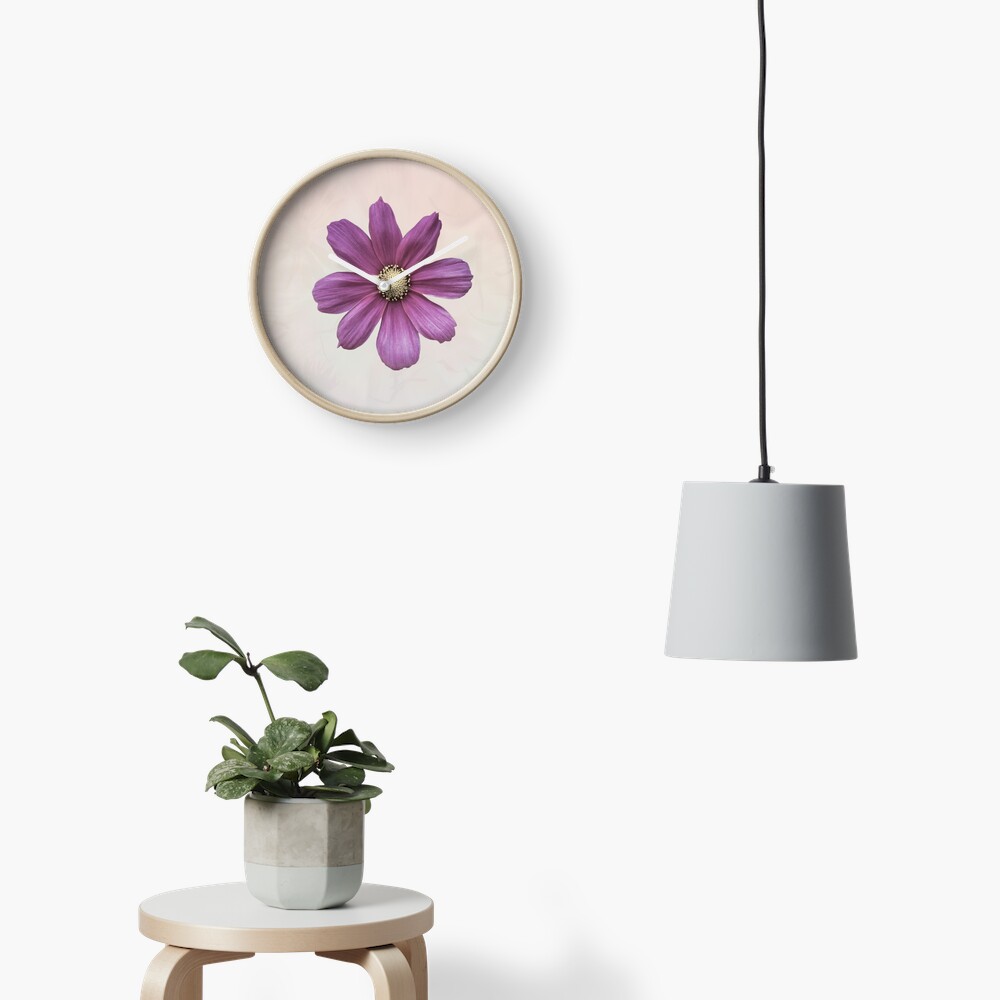 Purple Cosmos Flower Clock