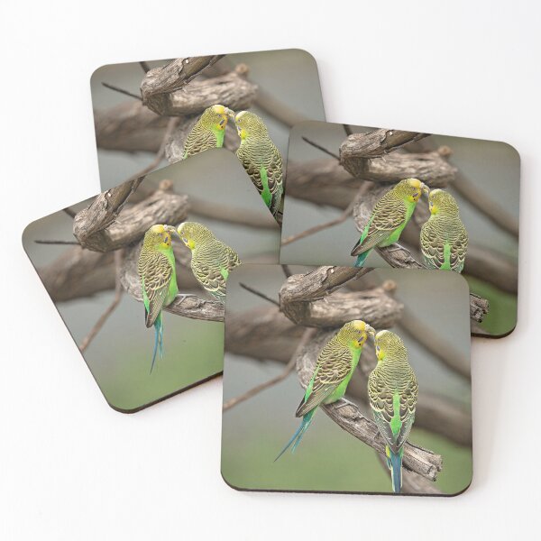 Item preview, Budgerigars designed and sold by Bevlea Ross.