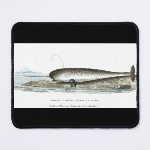 Item preview, Narwhal Whale Illustration designed and sold by kuremureDesign.