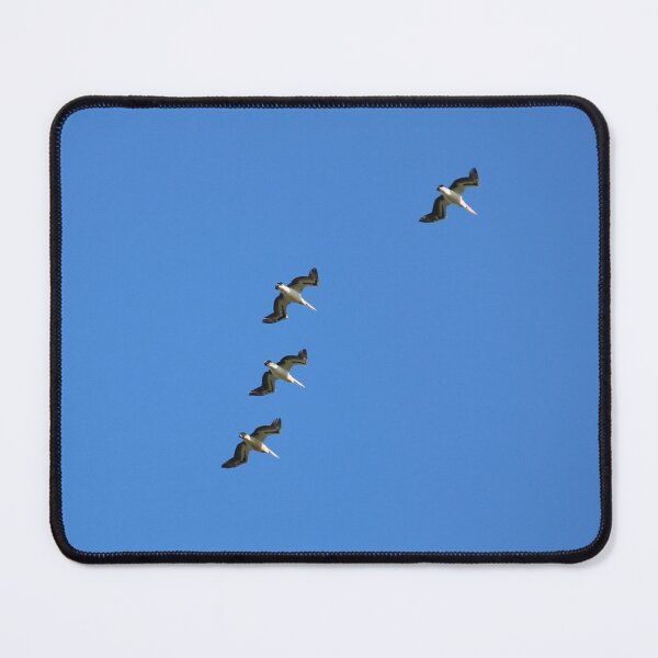 Item preview, Flying North designed and sold by varmifsud.