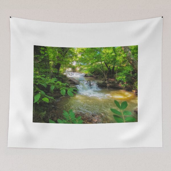 Item preview, Hale Branch Falls  designed and sold by Paul Lubaczewski.