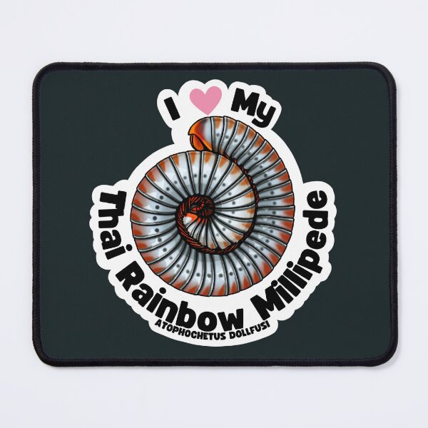 Item preview, I ❤️ My Millipede: Thai Rainbow Millipede designed and sold by VexisssOfficial.