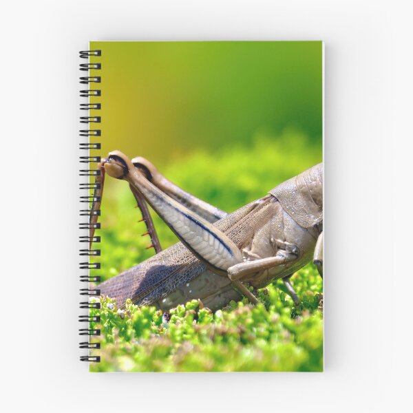 Item preview, Grasshopper 063 designed and sold by kevin Chippindall.