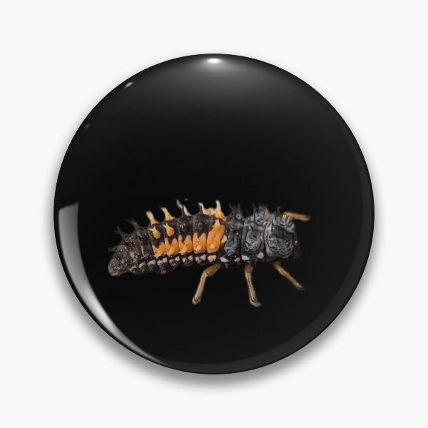 Item preview, Larval ladybug  designed and sold by ColderDesignLab.