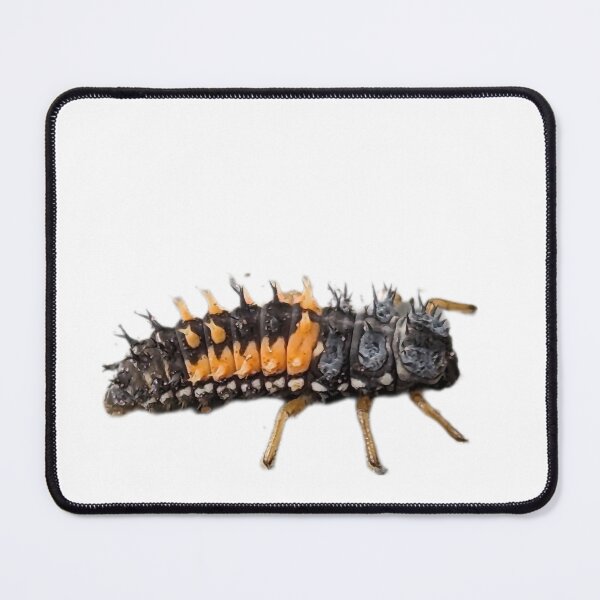 Item preview, Larval ladybug  designed and sold by ColderDesignLab.