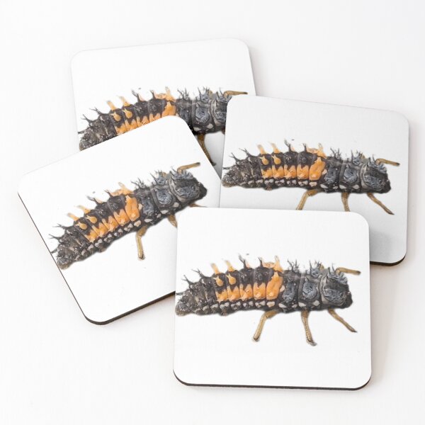 Item preview, Larval ladybug  designed and sold by ColderDesignLab.