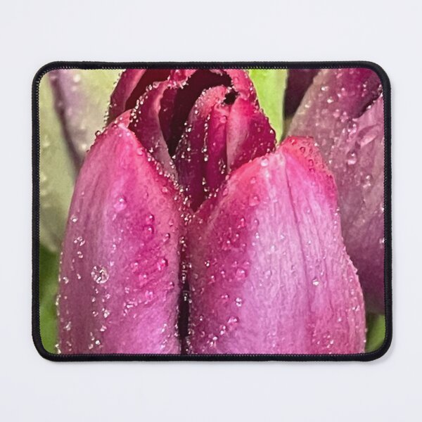 Item preview, Birthday card Tulip designed and sold by AnnasFloristry.