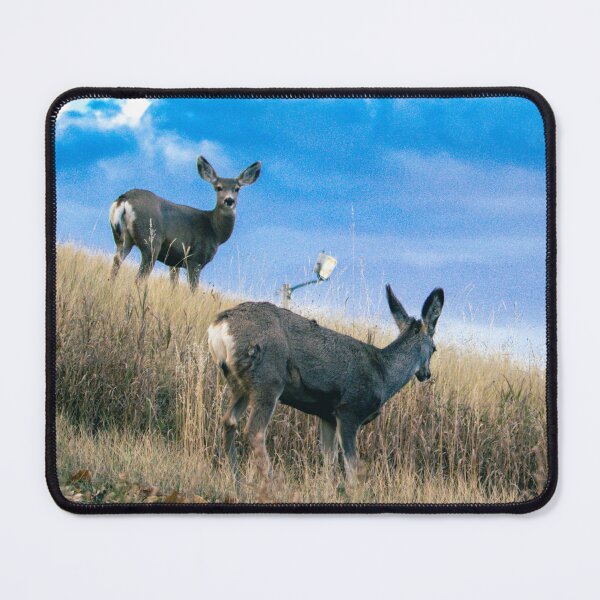 Item preview, Mule Deer On A Hill designed and sold by FreelanceJim.