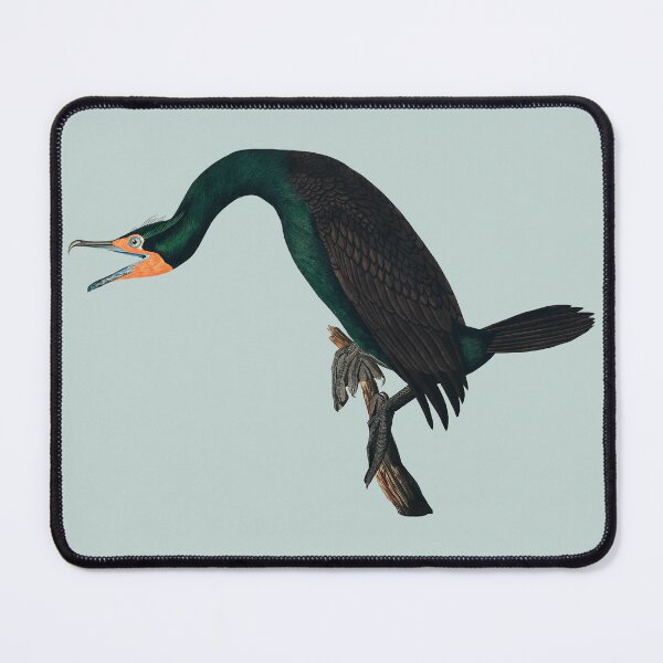 Item preview, Audubon's double-crested (Florida) cormorant designed and sold by Herons.