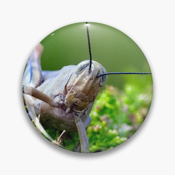 Item preview, Grasshopper 64 designed and sold by kevin Chippindall.