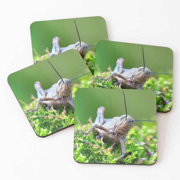 Item preview, Grasshopper 64 designed and sold by kevin Chippindall.