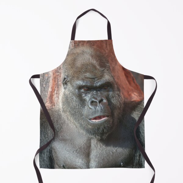 Item preview, Iconic Silverback - Oumbi Unveiled designed and sold by rawshutterbug.