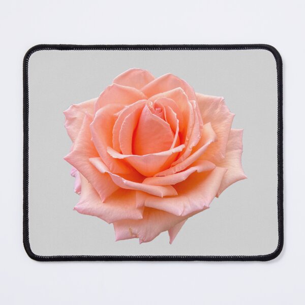 Item preview, Coral Rose designed and sold by Pixel and Paintbrush.