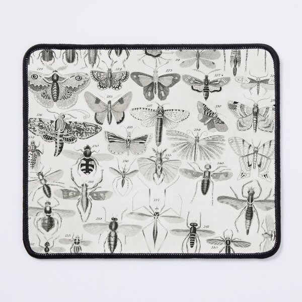 Item preview, Entomology designed and sold by fleurdesignart.