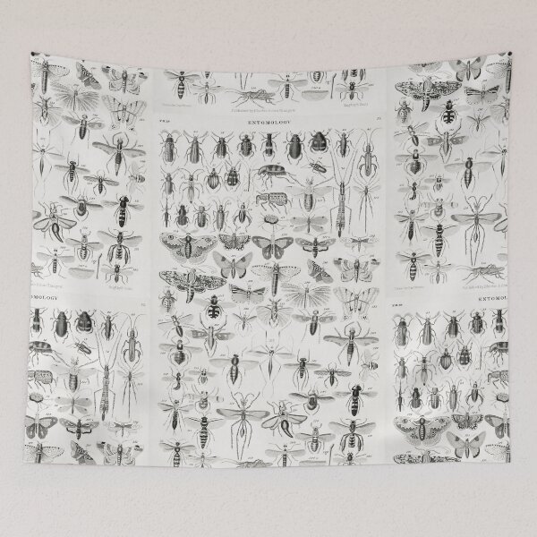 Item preview, Entomology designed and sold by fleurdesignart.