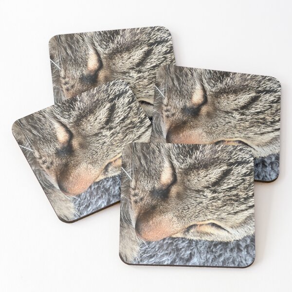Item preview, I had way too much catnip designed and sold by zparson23.