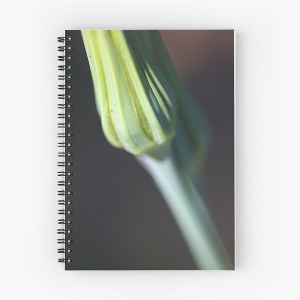 Item preview, Natures Bud Green Light designed and sold by Joy Watson - Natural Light Photography .