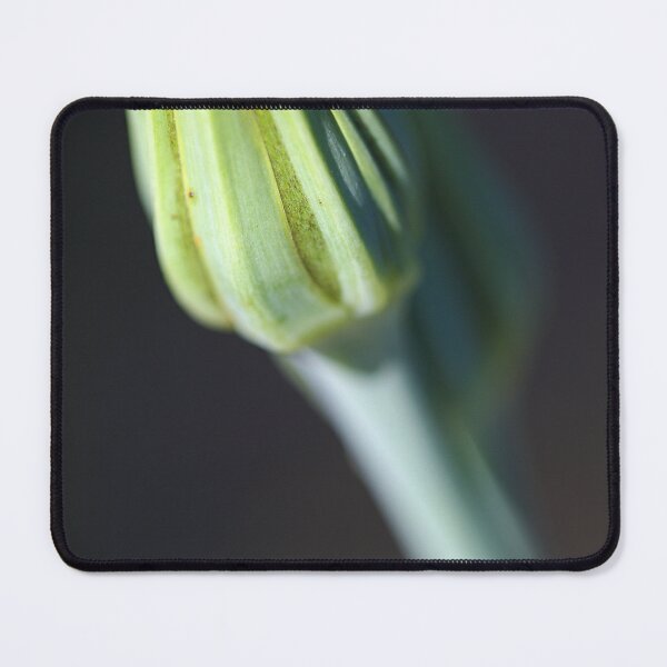 Item preview, Natures Bud Green Light designed and sold by Joy Watson - Natural Light Photography .