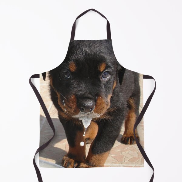 Item preview, Cute Rottweiler Mucky Pup Lapping Milk designed and sold by taiche.