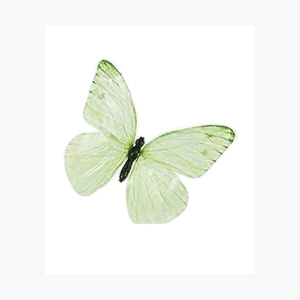 Item preview, Butterfly designed and sold by gbby-.