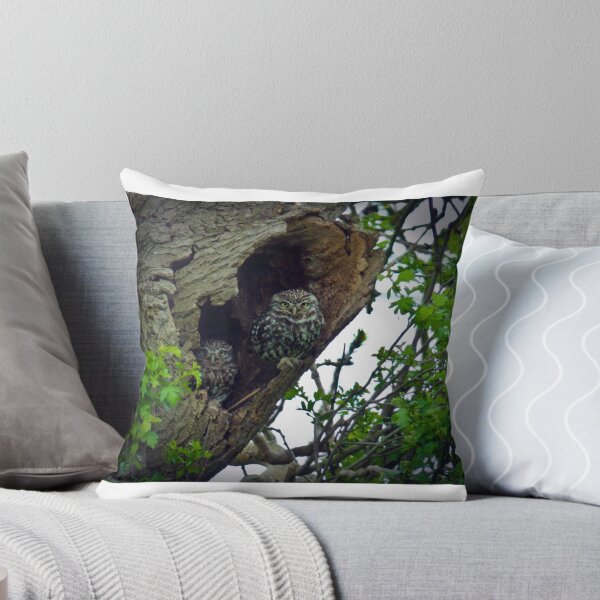 Item preview, Little Owls on the nest designed and sold by GrahamCSmith.