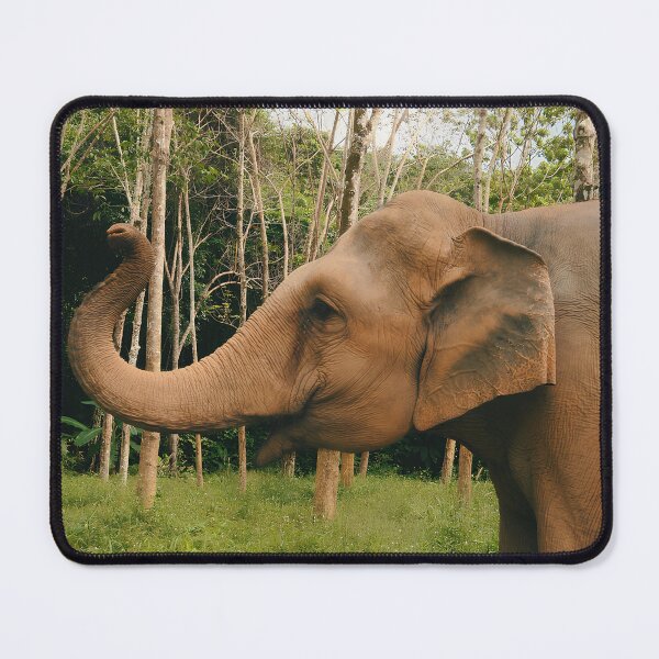 Item preview, Chang Thai Elephant designed and sold by FavDaughterX.