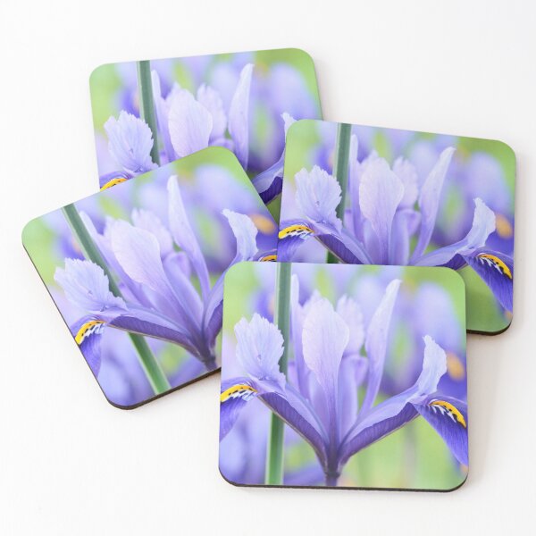 Item preview, Iris  'Harmony'  Reticulata	 designed and sold by Chris Burrows.
