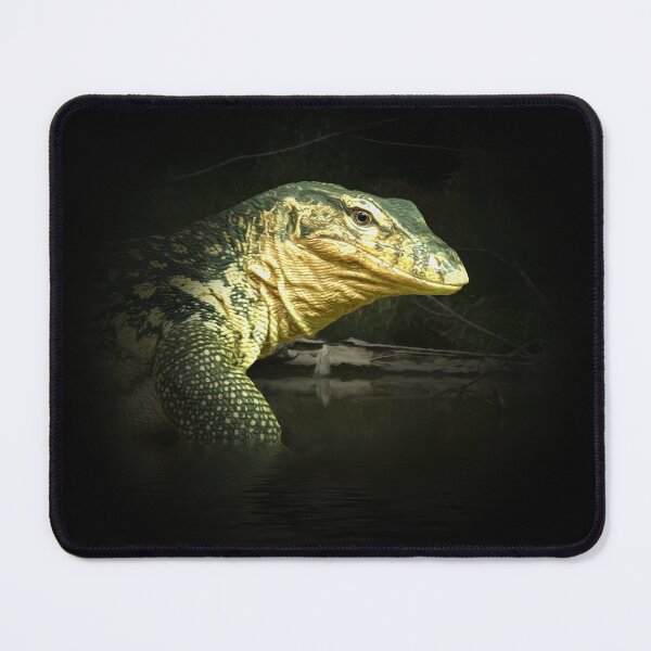 Item preview, Monitor lizard designed and sold by Guardi71.