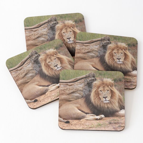 Item preview, León africano macho designed and sold by thupho.