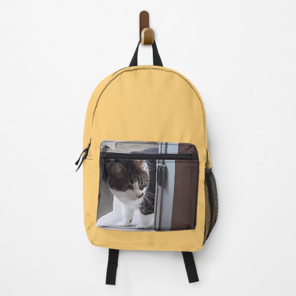 Item preview, Cat Entering a House designed and sold by hajarsdeco.