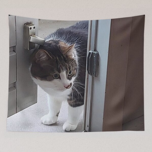 Item preview, Cat Entering a House designed and sold by hajarsdeco.