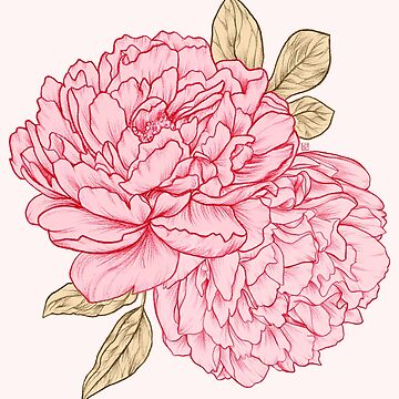 Artwork thumbnail, Pink Peonies by Laura OConnor