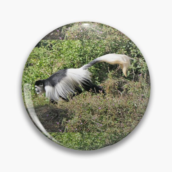 Item preview, vr 3463 - 1/ finition 2023  singes : les Colobe -  Okaio Créations Olavia-Olao designed and sold by o.okaïo.