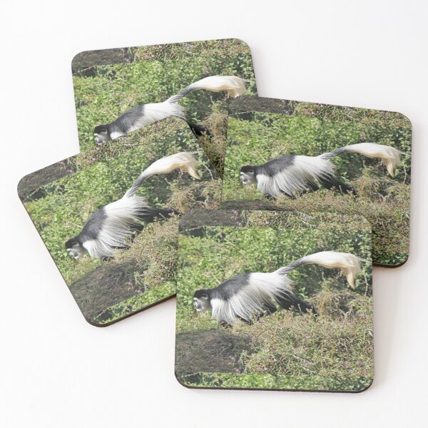 Item preview, vr 3463 - 1/ finition 2023  singes : les Colobe -  Okaio Créations Olavia-Olao designed and sold by o.okaïo.