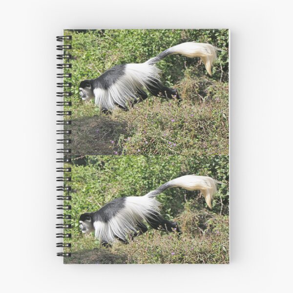 Item preview, vr 3463 - 1/ finition 2023  singes : les Colobe -  Okaio Créations Olavia-Olao designed and sold by o.okaïo.