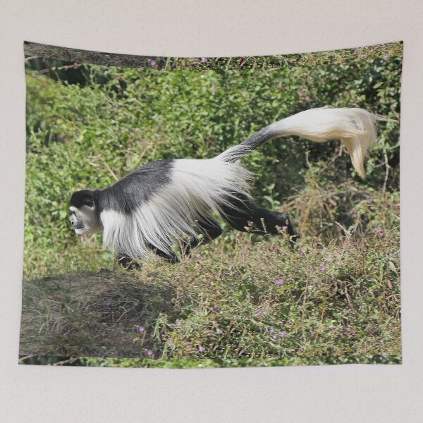 Item preview, vr 3463 - 1/ finition 2023  singes : les Colobe -  Okaio Créations Olavia-Olao designed and sold by o.okaïo.