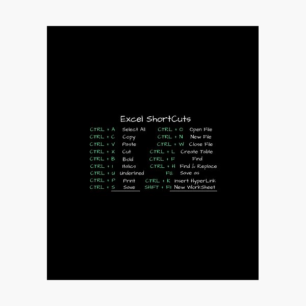 Item preview, excel shortcuts designed and sold by PetPanache.