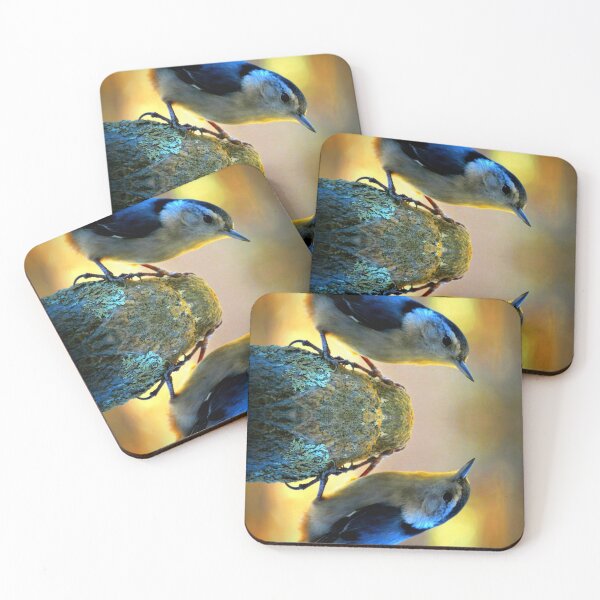 Item preview, Reflecting Pool Nuthatch  designed and sold by Jean Gregory Evans.
