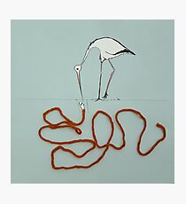 LANG // Stork and earthworm Photographic Print