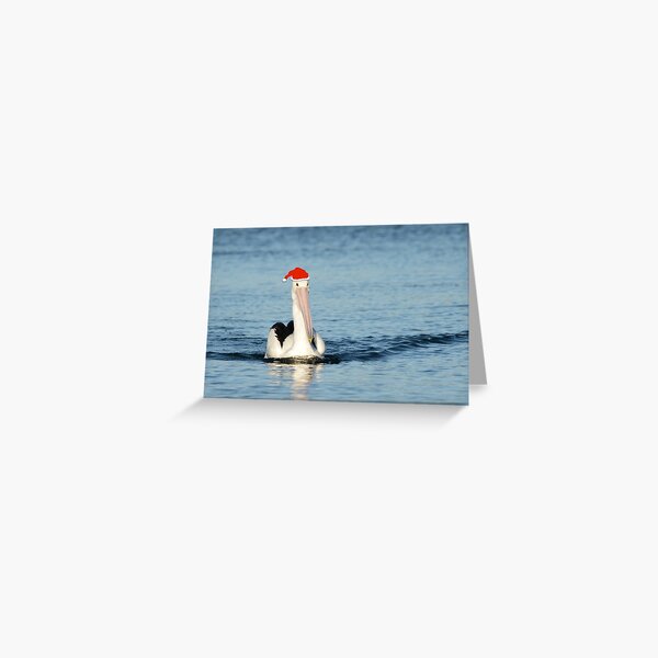 Item preview, Pelican Christmas designed and sold by photosbymia.