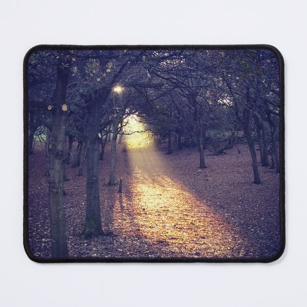 Item preview, Golden Hour on Robinswood Hill designed and sold by elluminations.