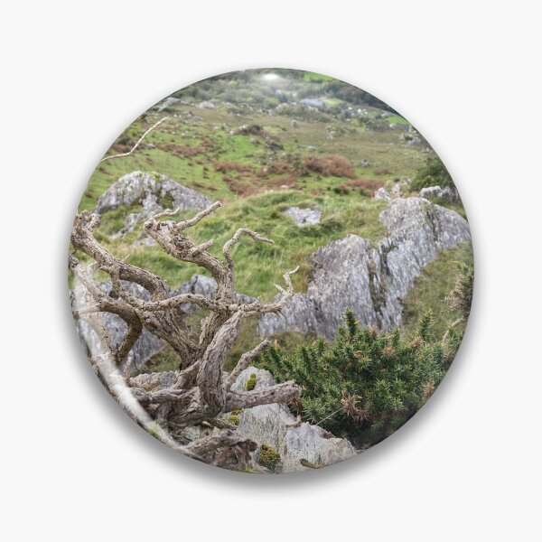 Item preview, Gnarled Tree above Glanmore Lake designed and sold by Sinemathk.
