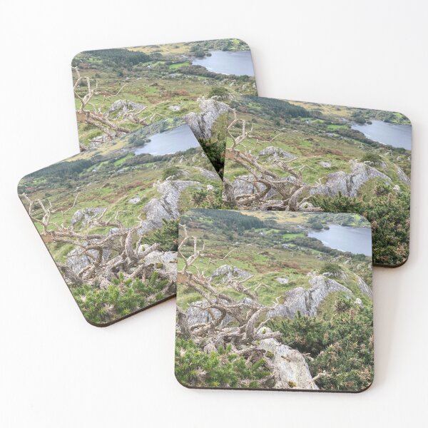 Item preview, Gnarled Tree above Glanmore Lake designed and sold by Sinemathk.