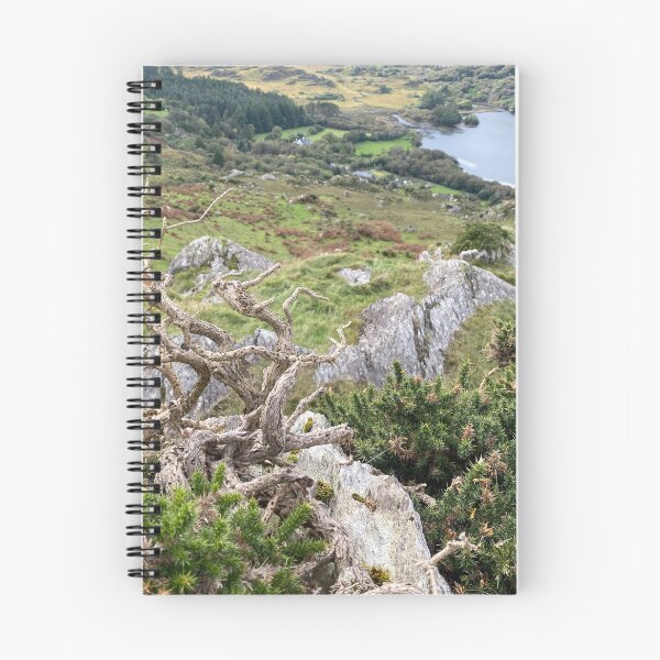 Item preview, Gnarled Tree above Glanmore Lake designed and sold by Sinemathk.